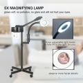 PC 2 in 1 Facial Steamer Professional Ionic Face Steamer with 5X Magnifying Lamp&Adjustable Hot Mist Nozzle, Esthetician Facial Steamer Salon Spa Beauty Skin Care Equipment. 