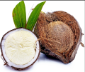 Natural Phool Wala Nariyal |Brown Coconut  With Flower | Rare Sprouted Coconut with Flower Inside | Original Coconut for Health & Pregnancy | Pure Natural Sprouted Nariyal for Energy | Its Natural Item So we don't know About the size of Inner Flower. 