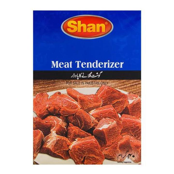 Shane Meat Tenderizer MAsala 40 gm