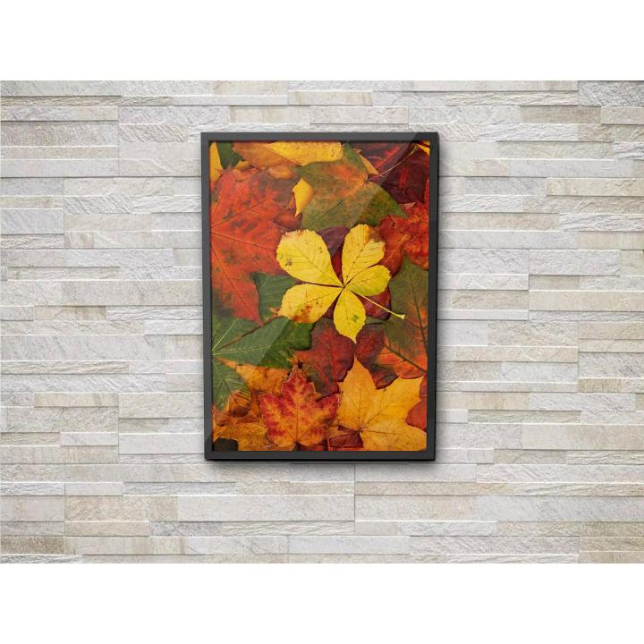 yellow, green, and brown maple leaves Wall Décor Wall Scenery Wall Art Home Design Home Artwork Decoration for Living Room, Bedroom