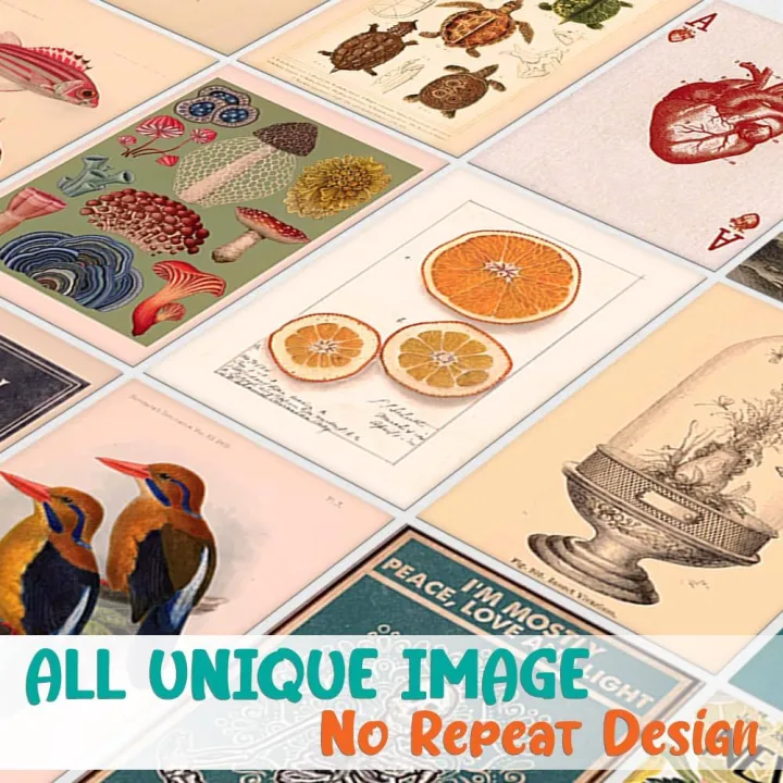 50PCS%20Vintage%20Wall%20Collage%20Kit%20Aesthetic%20Pictures%20Room%20Decor%20for%20Bedroom%20Aesthetic%20,%20Wall%20Art%20-%20Image%206
