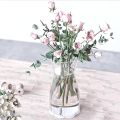 IKEA KARAFF Clear Glass Carafe 1.0 Liter Elegant Tableware Vase for Home Use. 