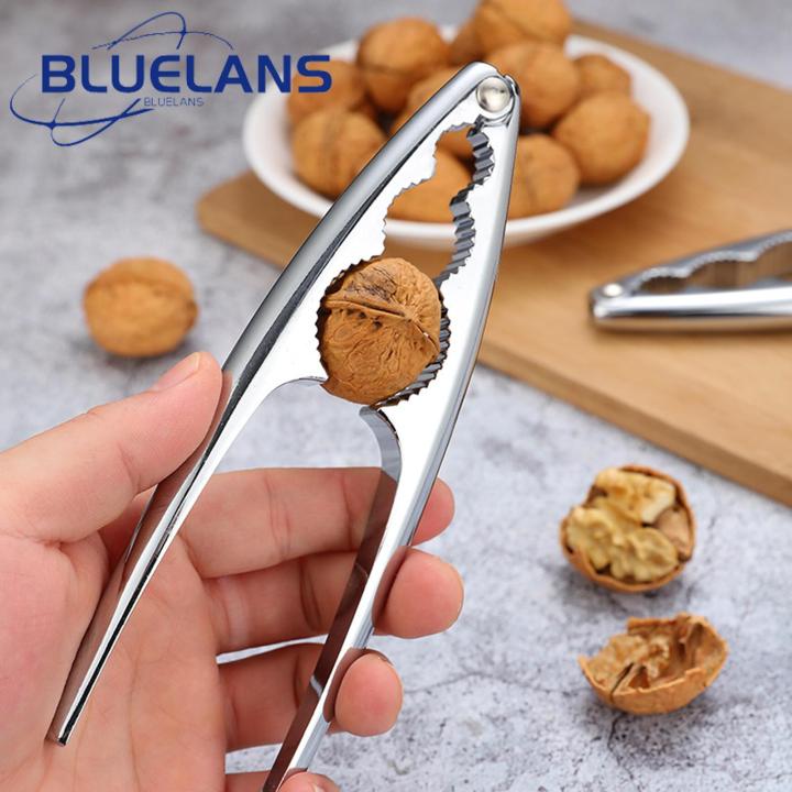 Pecan Nut Cracker Easy-to-use Stainless Steel Nutcracker for Effortless Nut Cracking Rust-proof Anti-slip Handle Ideal for Southeast Asian Buyers Nutcracker for Walnuts