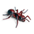 New Realitic Ant Growth Cycle Figurine et Kid imulated Animal Educational Toy. 