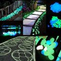 Glow In The Dark Stones Pebbles Aquarium Plants Fairy Mini Garden - Pack of 1. 