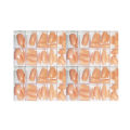 200 Pcs in 1 Pack -_Artificial Nails kit _False Nails kit _Fake Nails kit/ Acrylic Nails kit / Nails Kit. 