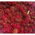 Pomegranate Flower Powder 100 Grams. 