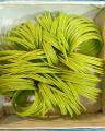 Plain Glass Bangles - Size 2.25 - Color Parrot Green: Elegant And Simple Glass Bangles For A Fashionable And Traditional Look. 
