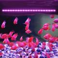Aquarium LED PINK Light. waterproof  with warranty. 