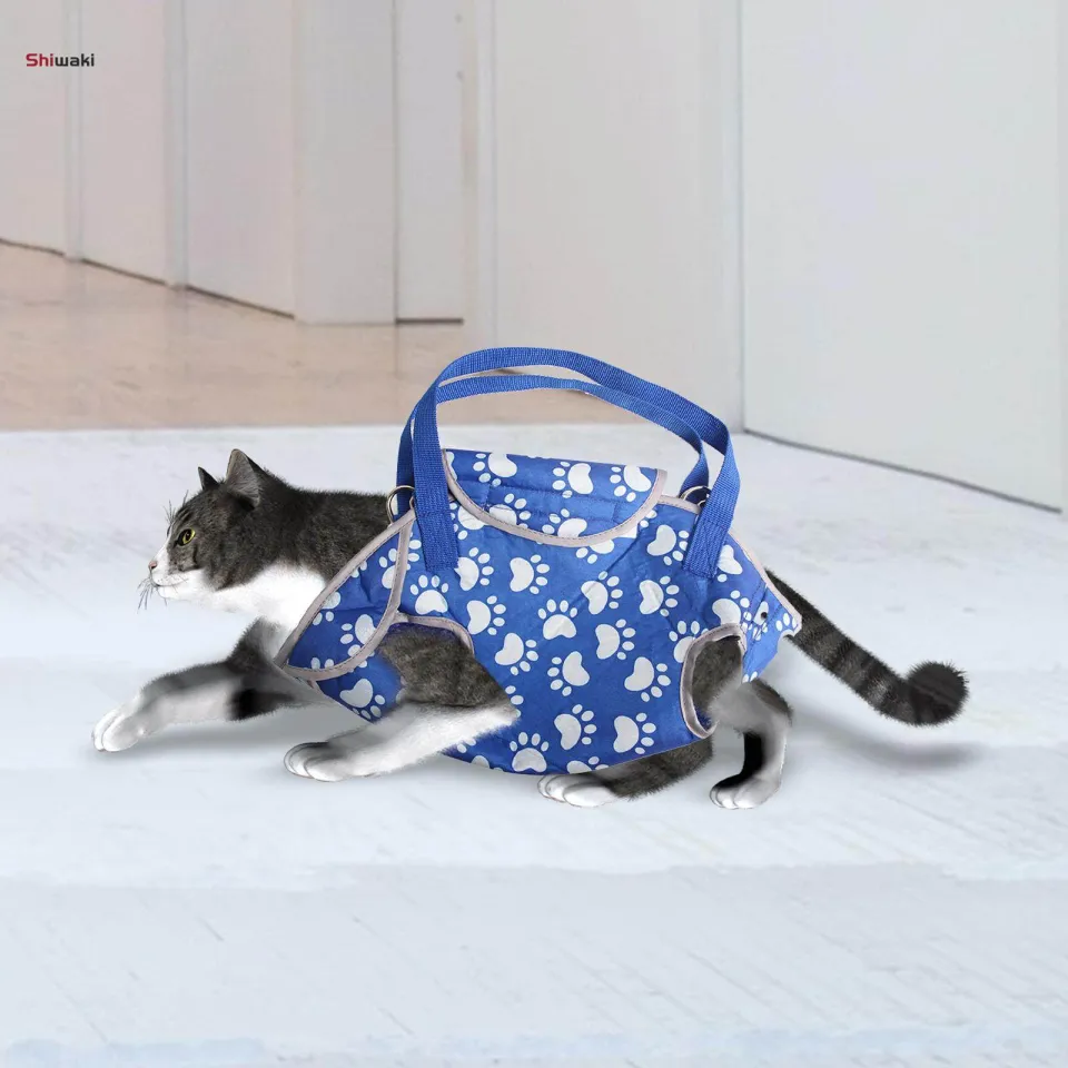 Pet Carrier Bag Soft Polyester Kids Bus Themed Small Dog Cat Travel Carry Case | UK