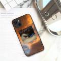 Fallen Angel Alexandre Cabanel Phone Case For iPhone 11 12 Mini 13 Pro XS Max X 8 7 6s Plus 5 SE XR Shell. 
