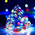 MULTICOLOR SEEDS FAIRY LIGHT - BATTERY OPERATED FAIRY LIGHT - ROOM DECORATION FAIRY LIGHT. 