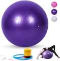 65cm Yoga Ball Exercise Ball , Anti-Burst & Non-Slip Fitness Ball Birthing Ball with Quick Pump- Home Gym Office Chair Ball. 