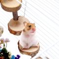 Hamster Chew Toys, Hamster Activity Toys Accessories for Teeth Care,Natural Wood Toys for Hamster, Rabbits, Bunny, Gerbil. 