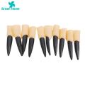 Green Home Witch Nails Set No Odors Finger Tips Halloween Night Gothic Witch Nails. 