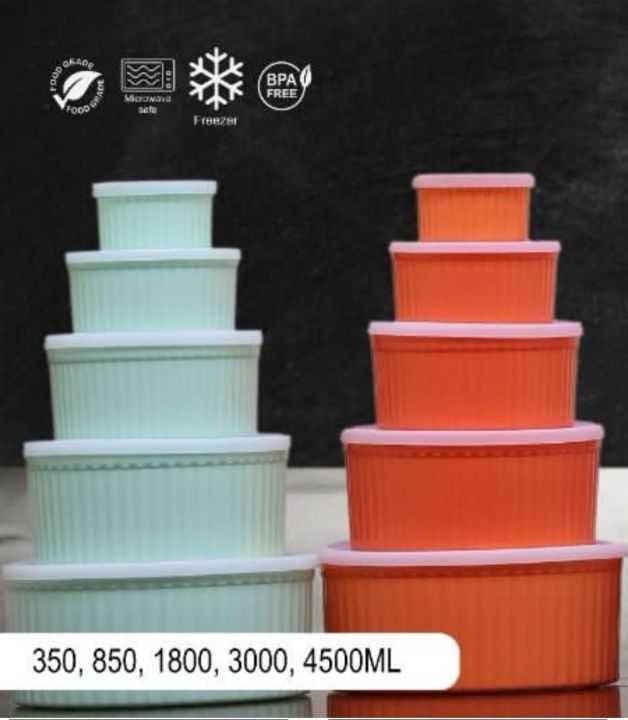 "Icon 5-Piece Food Container Set - Premium Storage Solution for Fresh and Organized Food"