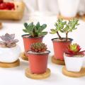 B2- Pack of 12 - Nursery Plastic Flower Plant Pots 5 x 5 inches. 