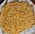 Roasted Chana Without Shell 250 gram magz ,maghaz , magaz Chana( Bhunnay Chanay , Chickpeas without Chilka). 