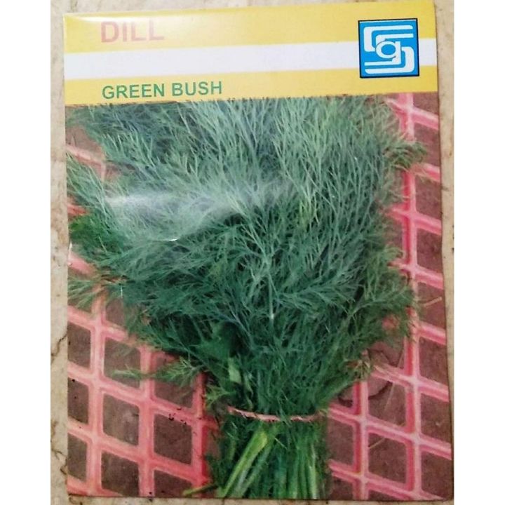 Dill Green Bush