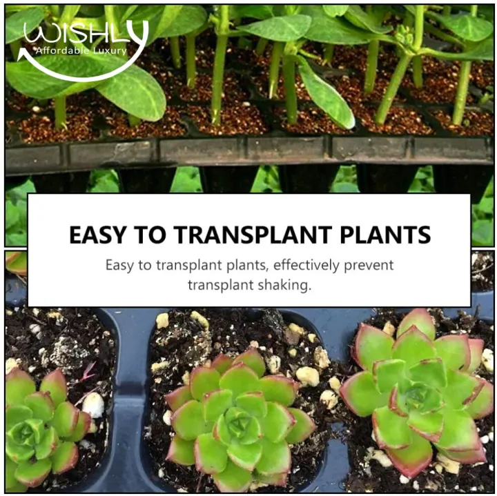 Wishly%20Plastic%20Hydroponic%20seedling%20tray%2032%20Holes/Cells%20for%20Seeds%20germination.%20-%20Image%205
