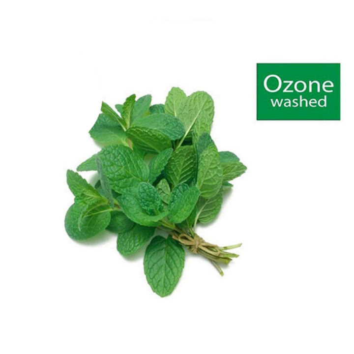 Daraz Fresh: Peppermint (Pudina) 1bundle