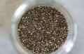 100 Gram Chia Seeds | 100% Pure and Organic | Neat and Clean | Organo Pure | Natural Weight Loss Solution. 