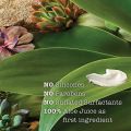 Maui Moisture Lightweight Hydration + Hibiscus Water Conditioner for Daily Moisture, No Sulfates, 13 fl oz. 