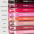 Rhode LipTint Peptide Finest Dupe | Long Lasting Non-Stick Lip Plumper Shea Butter Lip Gloss | Velvet Mirror Finish Orignal Lip Tint Set | Moisturizing Hydrating Lipstick,Lip Oil,Lip Balm | Tint For Lips & Cheeks All-in-One Lip Care Makeup ( 8 Shades ). 