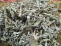 Nabi Booti leaves - Nabi Booty leaves30g in pakistan. 