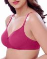 Brazier For Girls and womens. 