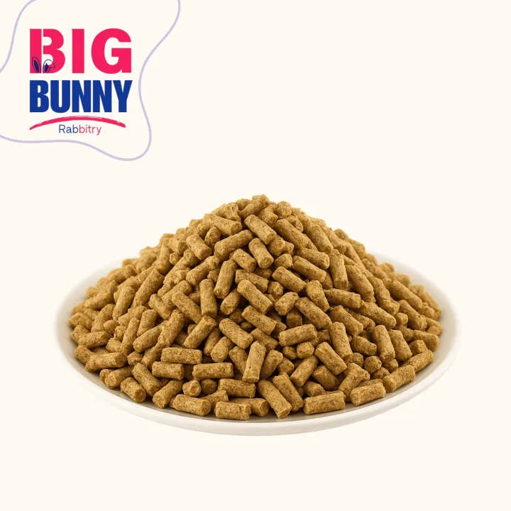 Wanda Rabbit Hopsch Buy 3-KG HI TECH 44 Rabbit Feed Pellets – Premium Wanda for Rabbits ...