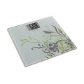 Camry Digital Body Weight Glass Scale - Weight Machine - Bathroom scale Colour. 