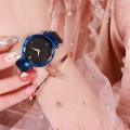 DAMIT Black Dial Magnet Strap Analogue Casual Women's Watch (Multicolour). 