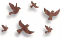 Pack of 6 Sparrow 3D Flying Wooden Birds for Wall Decor, Kids Bedroom Wall Decoration Ideas & Inspirations (Pack of 6). 