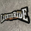 Eagle Embroidery Patch for Jacket Clothing Back Decoration Repair Motorcycle Rider Animal Claw Large Iron or Sewing Applique. 