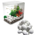 Pure White Stone Natural Stones 1 KG Bag. 
