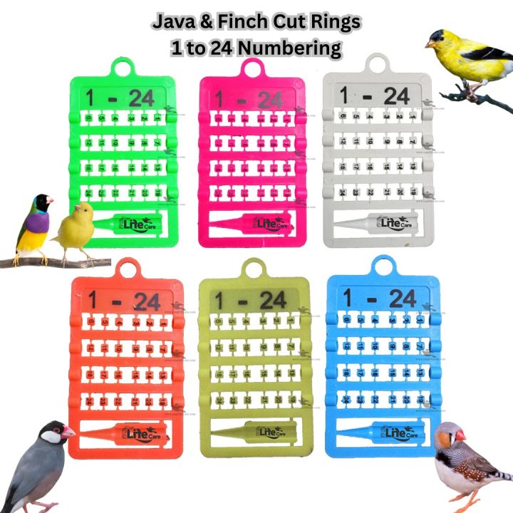 Finches & Java Cut Rings 1 to 24 Numbers with Applicators in 6 Colors 3mm Rings ( Imported )