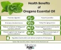 OREGANO ESSENTIAL OIL PAKISTAN. 