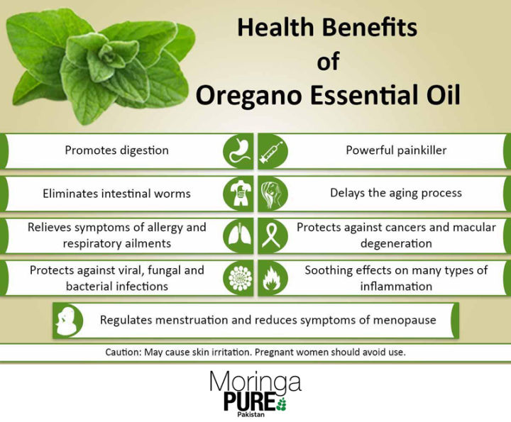 OREGANO%20ESSENTIAL%20OIL%20PAKISTAN%20-%20Image%204