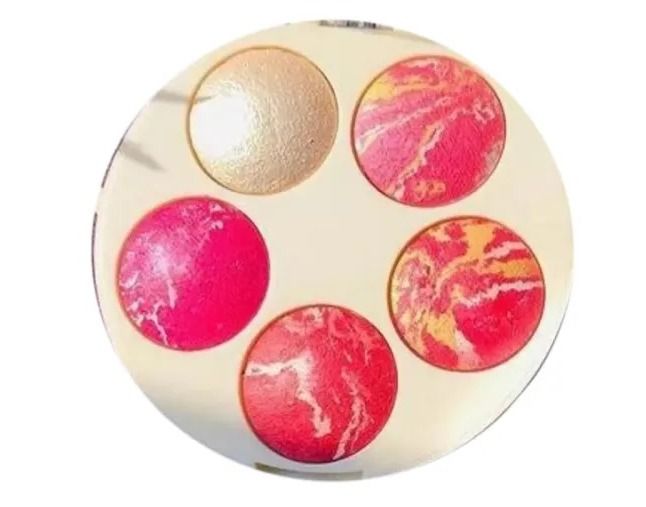 5 in 1 Professional Terracotta Blush On Palette Kit
