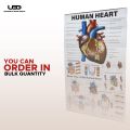 Human Heart Wall Chart | Wall Poster for Science Lab and clinics Decoration | HD picture Presentation on 200 grams Laminated Card 23*36 inches. 