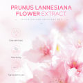 LAIKOU Japan Sakura Skincare Set Brightening Essence Eye Cream Moisturizing 5pcs Sets. 