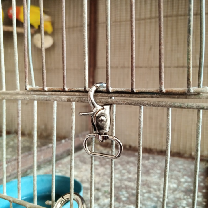 High Quality Imported Metal Cage Door Lock for Bird & Pet Cages