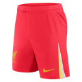M Salah Original T-shirt and Shorts Football Kit new design 2024/2025 Adults and Kids Sizes Available. 