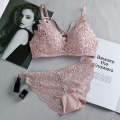 Women's Set Wire Free Push Up Lace Female Underwear Set Transparent Panties Seamless Female Underwear and Panty Set 8815. 