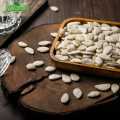 Pumpkin Seeds (Kado Beej) Homestyle, Salted, In Shell - 200gm. 