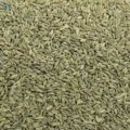Organic Fennel Seeds (Saunf) – 100g, 250g, 500g | Pure & Fresh Green Sounf | Premium Quality Spice for Cooking & Masala | Sabaz Sonf | Wholesale Bachat Pack. 
