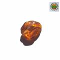 Natural Baltic Amber Stone - GNJP78618. 