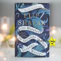 10 Minutes 38 Seconds in This Strange World Novel by Elif Shafak. 