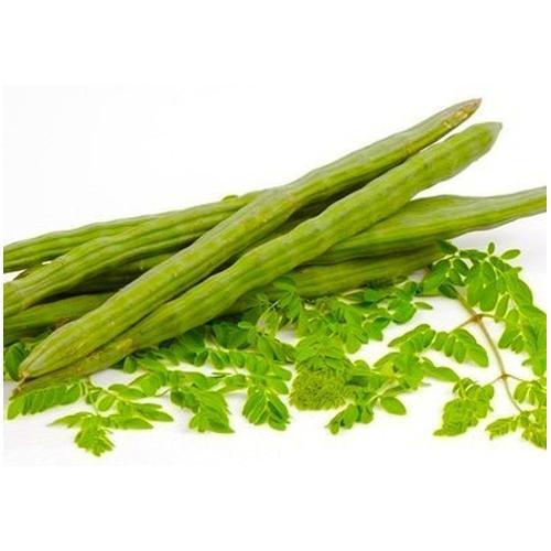 Sohanjna%20K%20Beech%20%7C%20Moringa%20Seeds%20Large%20%7C%20Organic%20&%20Fresh%20Garden%20Seeds%20-%20Image%202